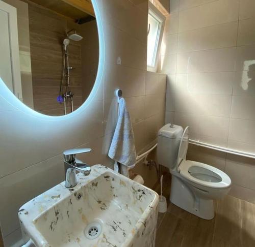 ein Badezimmer mit einem Waschbecken, einem WC und einem Spiegel in der Unterkunft Villa in Rugove, Kosovo in Lekaj