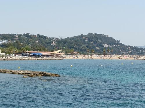 um corpo de água com uma praia ao fundo em Le Côte d'Azur em Toulon