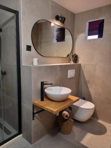 a bathroom with a sink and a toilet and a mirror at Apartments Hortenzija in Maslinica