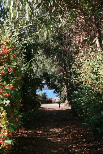 an archway in a garden with flowers and trees at Beauty Point Tourist Park in Beauty Point
