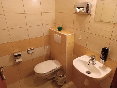 a small bathroom with a toilet and a sink at Restaurace a Penzion U Lesa in Havířov