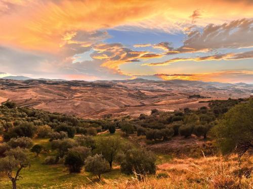 a view of a valley with trees and a sunset at Planet casa vacanze in Montalbano Jonico