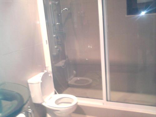 a bathroom with a toilet and a shower and a sink at Apartamentos Santiago - Maio in Vila do Porto