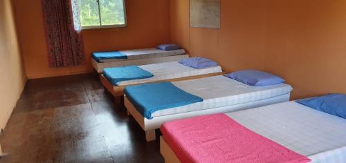 Un grupo de 4 camas en una habitación en Mulu Homestay, en Mulu