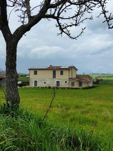 B&B da ENZA – Photos 4