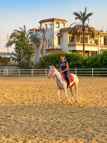 a woman riding a horse on the beach at Sakkara Country Club in Cairo
