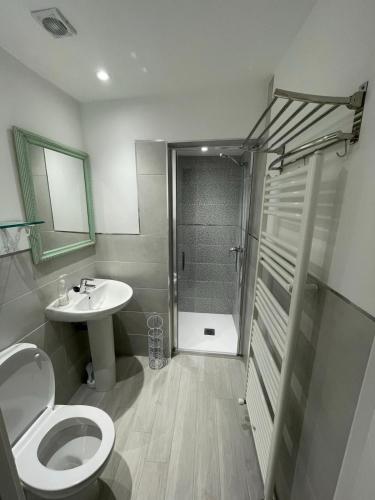 a bathroom with a shower and a toilet and a sink at Casa Tía Milagros in Puebla de Sanabria
