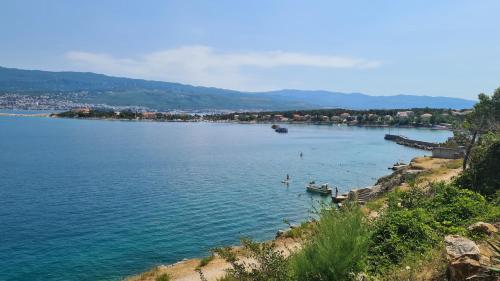a view of a large body of water at Vila Primorka Apartmani Oleander in Šilo