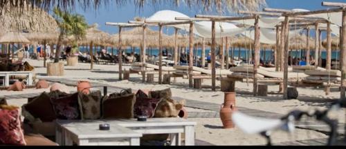 a beach with chairs and umbrellas and a white bird at Marina Dinevi Complex Monastery 1 Saint Vlas in Sveti Vlas