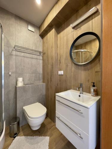 a bathroom with a toilet and a sink and a mirror at LeoApart in Wrocław