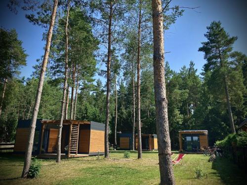 uma cabana na floresta ao lado de algumas árvores em Makosieje Resort - komfortowy domek 30m od jeziora,ogrzewanie,wi-fi,widok na jezioro em Makosieje