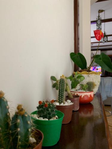 Fotografie z fotogalerie ubytování American Hostel e Pousada v destinaci Joinville