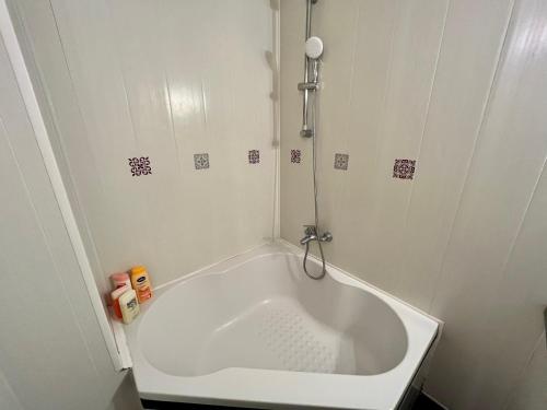 La petite salle de bains est pourvue d'une baignoire blanche et d'une douche. dans l'établissement Appartement 2 chambres - lits king size - wifi - baignoire, au Puy-en-Velay