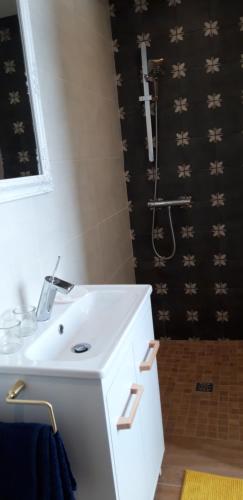 a bathroom with a white sink and a shower at Gîte pour 2 in Wingen