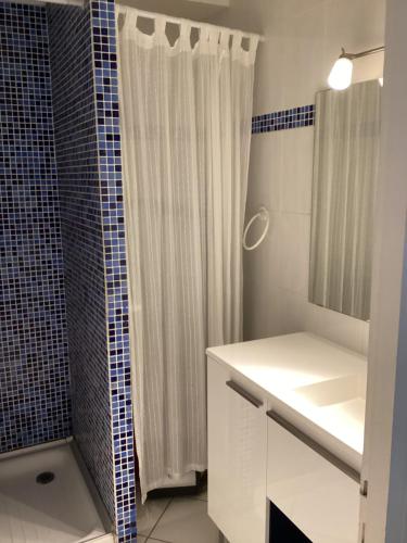 a bathroom with a white sink and a shower at Le serpent de mer in Le Grau-du-Roi