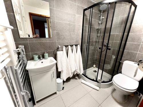 W łazience znajduje się prysznic, toaleta i umywalka. w obiekcie Domek KALINKA -Góry Sowie-Rzeczka w mieście Rzeczka