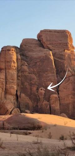 a rock formation in the desert with a white arrow at RUM STARDUST lUXURY CAMP in Wadi Rum