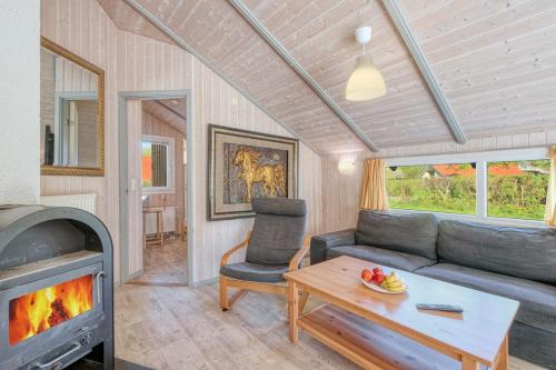 a living room with a couch and a fireplace at Kranich Ferienhäuser mit Innenpool in Hohendorf