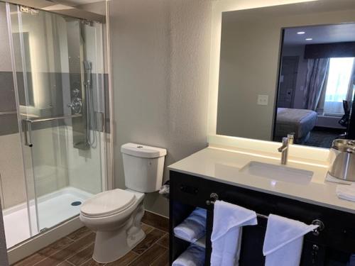 a bathroom with a toilet and a sink and a shower at Days Inn by Wyndham Bellville Mansfield in Bellville