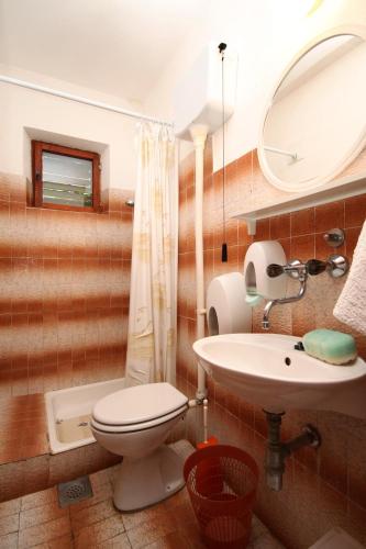 a bathroom with a toilet and a sink and a mirror at Apartments by the sea Mudri Dolac, Hvar - 118 in Vrboska