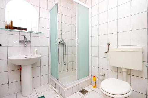 a bathroom with a shower and a toilet and a sink at Apartments by the sea Brna, Korcula - 147 in Smokvica