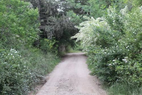 Φυσικό τοπίο κοντά σε αυτή η παραθεριστική κατοικία