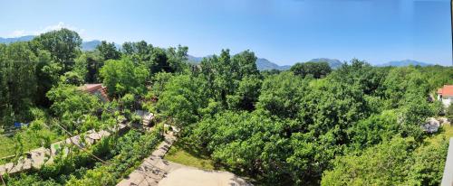 an overhead view of a forest with trees at Apartments and Rooms Minex in Trebinje