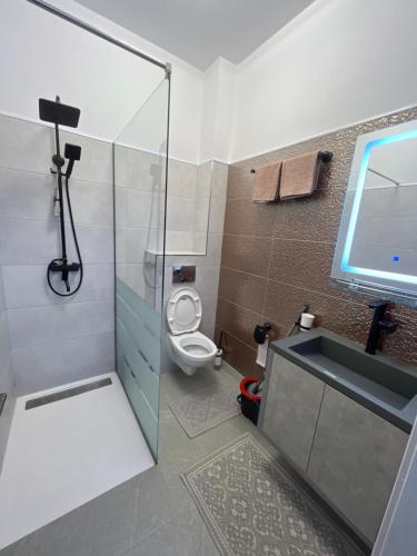 a bathroom with a shower and a toilet and a sink at Furtuntec in Tecuci