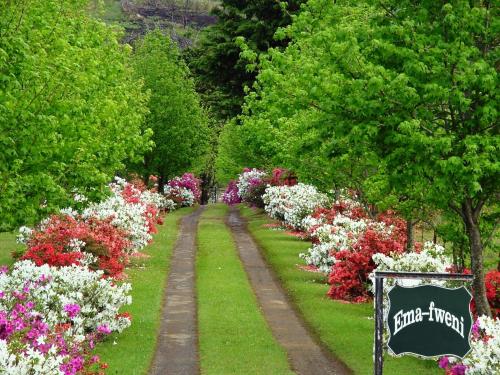 une rangée de fleurs dans un jardin avec un panneau dans l'établissement Emafweni, à Champagne Valley