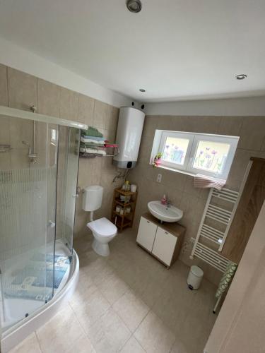 a bathroom with a shower and a toilet and a sink at Két szobás, teraszos, kertes vendégház in Balatonmáriafürdő