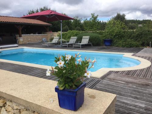 a blue pot with flowers in it next to a swimming pool at chambres d'hôtes à la claire fontaine in Sorges