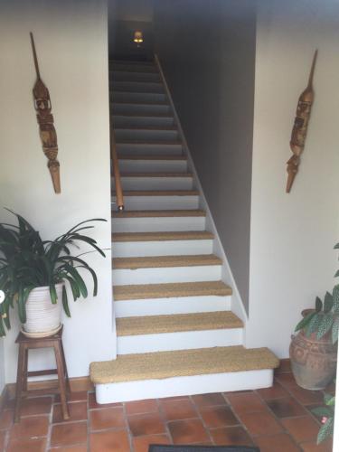 a staircase in a house with a potted plant at chambres d'hôtes à la claire fontaine in Sorges
