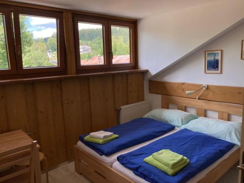 a bedroom with a bed with blue sheets and windows at SKI-BIKE APARTMENTS in Železná Ruda