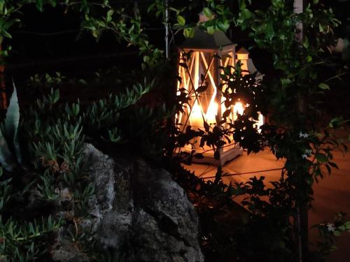 a lantern in a garden at night at B&B Villa Letizia in San Vito Rimini