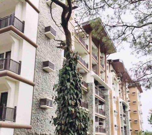 a building with a plant growing on the side of it at Brenthill Premium Condo Baguio City with Generator in Baguio