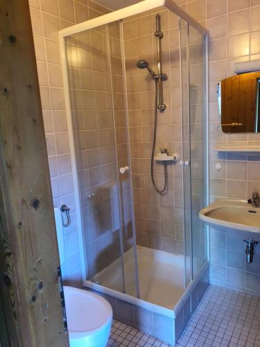 a bathroom with a shower and a sink at Landhaus Alexa in Eben im Pongau