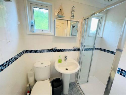 a bathroom with a toilet and a sink at 169 Broadside Holiday Chalet near Broads & Beaches in Stalham