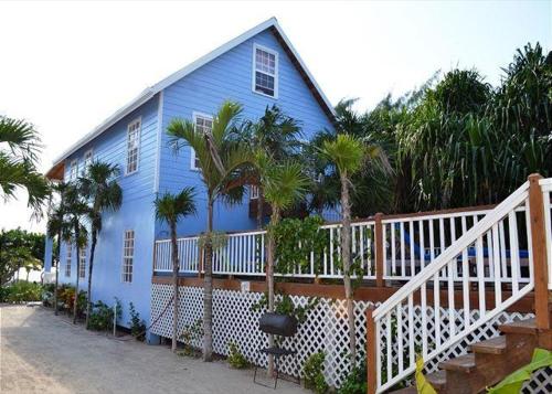 uma casa azul com palmeiras em frente em Laura's Lookout em Caye Caulker