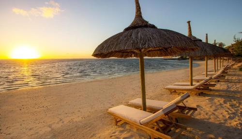 a row of beach chairs and umbrellas on a beach at Solana Beach Mauritius - Adults Only in Belle Mare