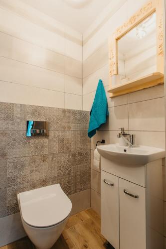 a bathroom with a toilet and a sink at Dunajecko Dziupla in Biały Dunajec
