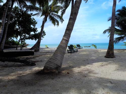 a group of palm trees on a beach with the ocean at white coral beach resort in Havelock Island