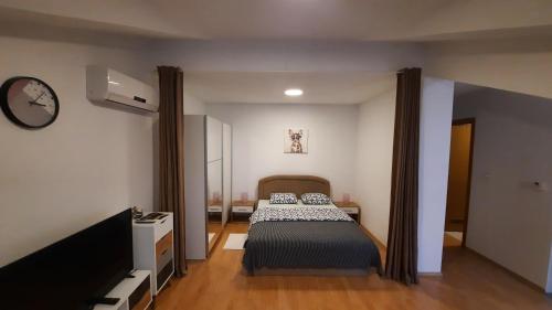 1 dormitorio con 1 cama y TV de pantalla plana en Studio apartman Lea 2, en Čazma