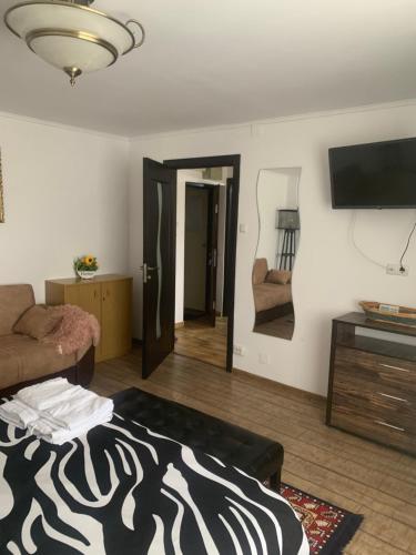 een woonkamer met een bed, een bank en een televisie bij Garsoniera 1 decembrie in Alba Iulia