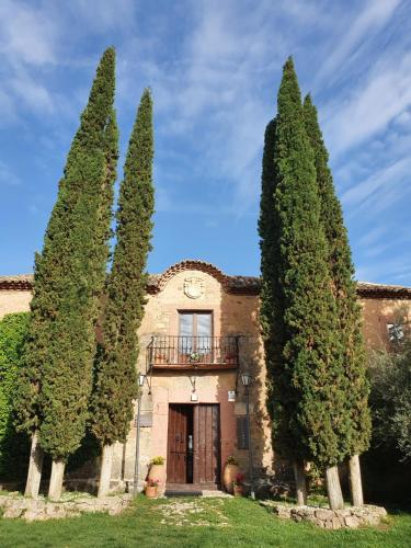 a building with two tall trees in front of it at Casa Palaciega El Cuartel in Medinaceli
