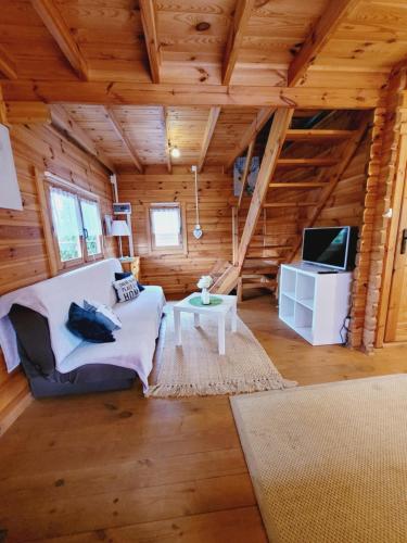 Cabaña de madera con sala de estar con sofá y TV. en Domki Letniskowe w Sercu Natury en Świerkocin