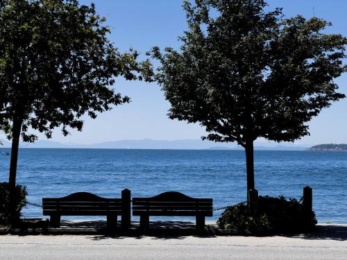two benches in front of the water with trees at Oceanside Villas in Sechelt