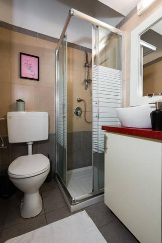 a bathroom with a shower and a toilet and a sink at Eliyahu Salman #2 in Jerusalem