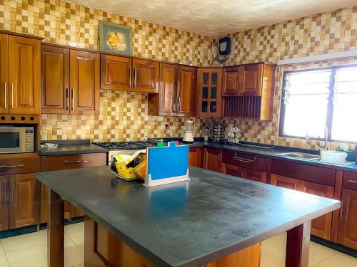 a kitchen with wooden cabinets and a counter top at majestic cottage in Ayaso