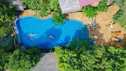 an overhead view of a large blue swimming pool at Habarana Tree house Mutu village in Habarana