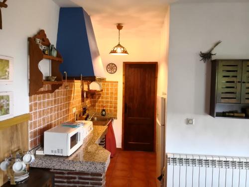 a kitchen with a sink and a microwave on a counter at Cortijo Buena Vista in Laroles